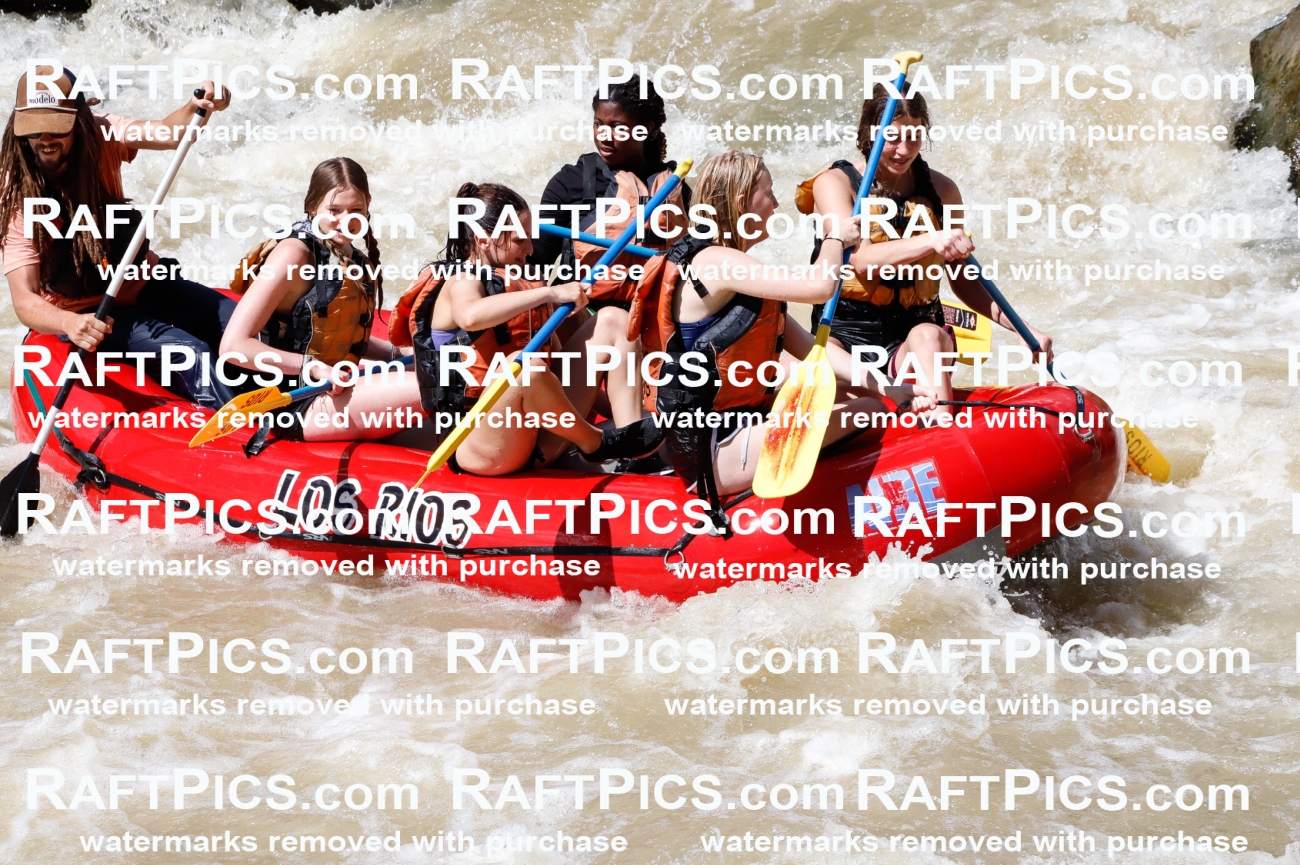 028284_RaftPics_August_16_LosRios_Racecourse_PM_Brodie_TC_