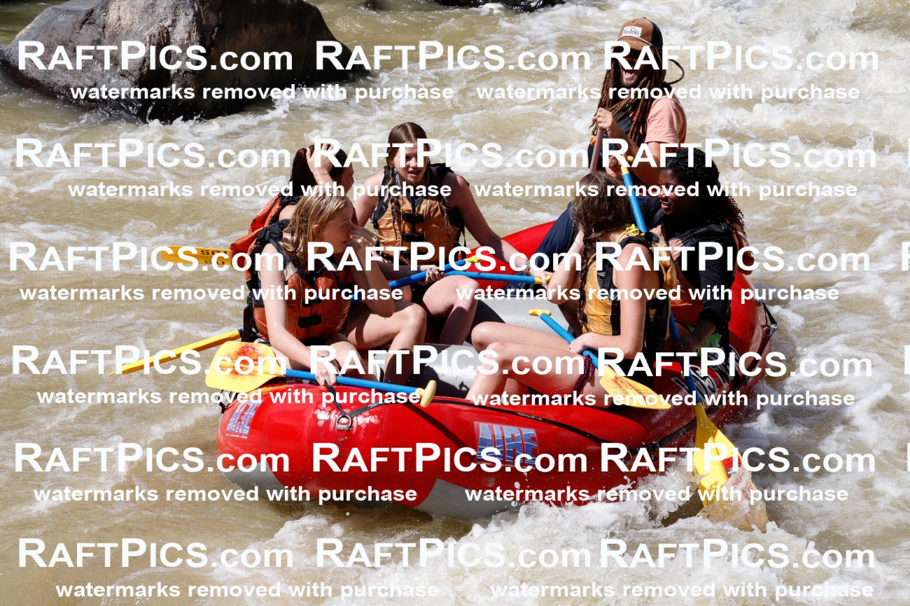 028285_RaftPics_August_16_LosRios_Racecourse_PM_Brodie_TC_