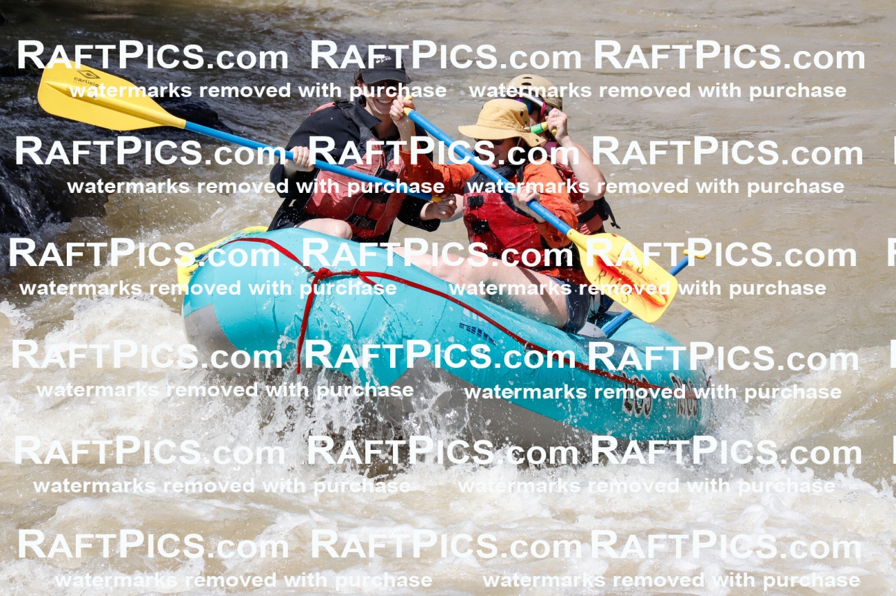 028167_RaftPics_August_16_LosRios_Racecourse_PM_Emily_TC_