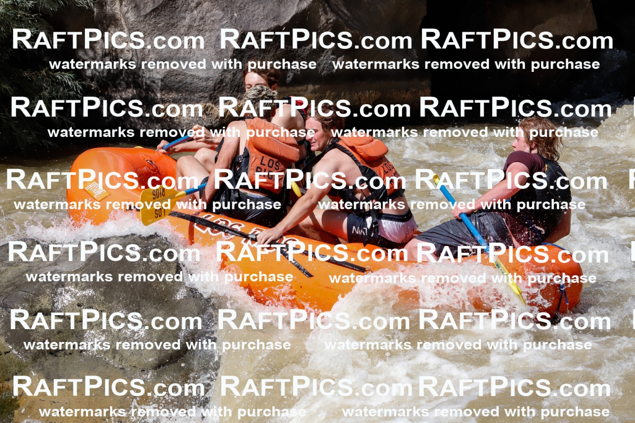 028191_RaftPics_August_16_LosRios_Racecourse_PM_Jackson_TC_