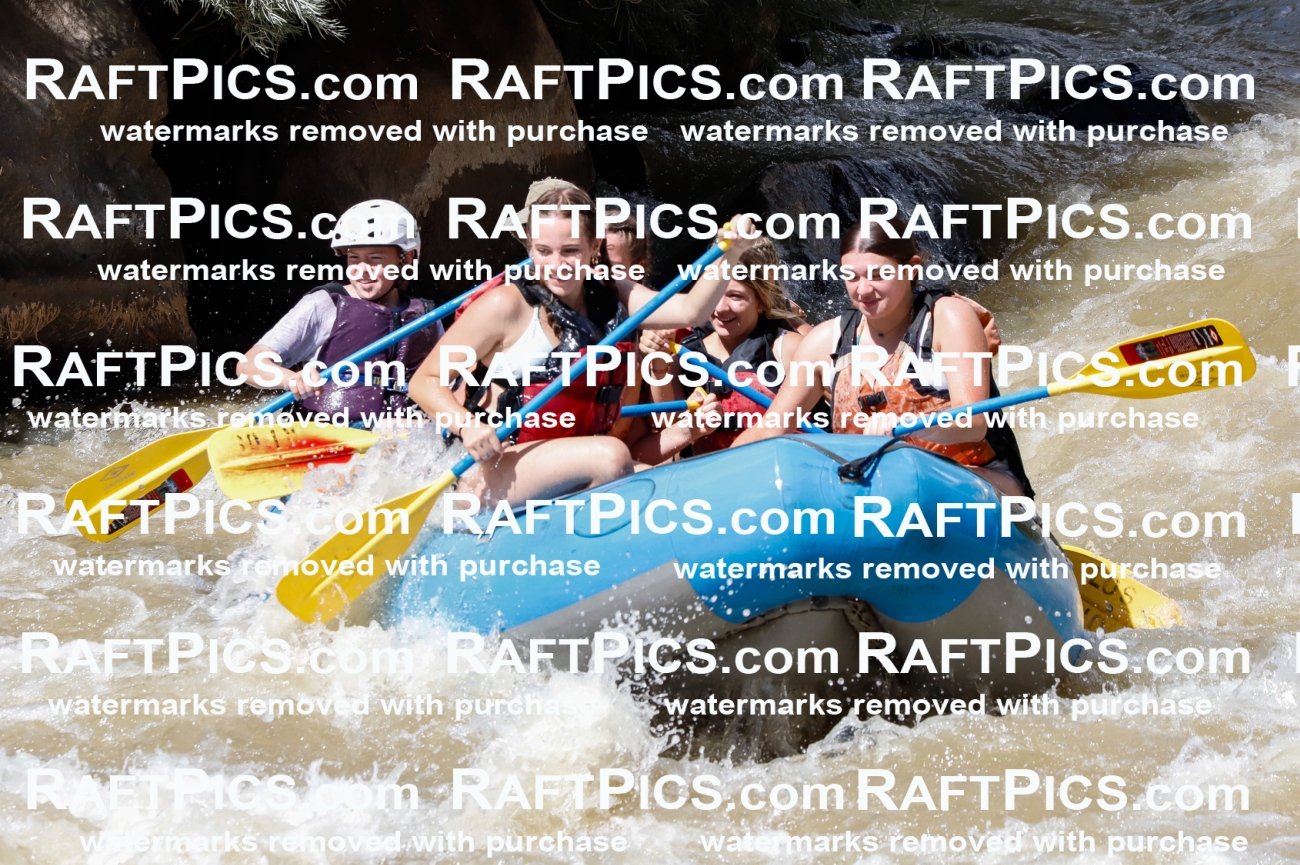 028227_RaftPics_August_16_LosRios_Racecourse_PM_Unknown_TC_