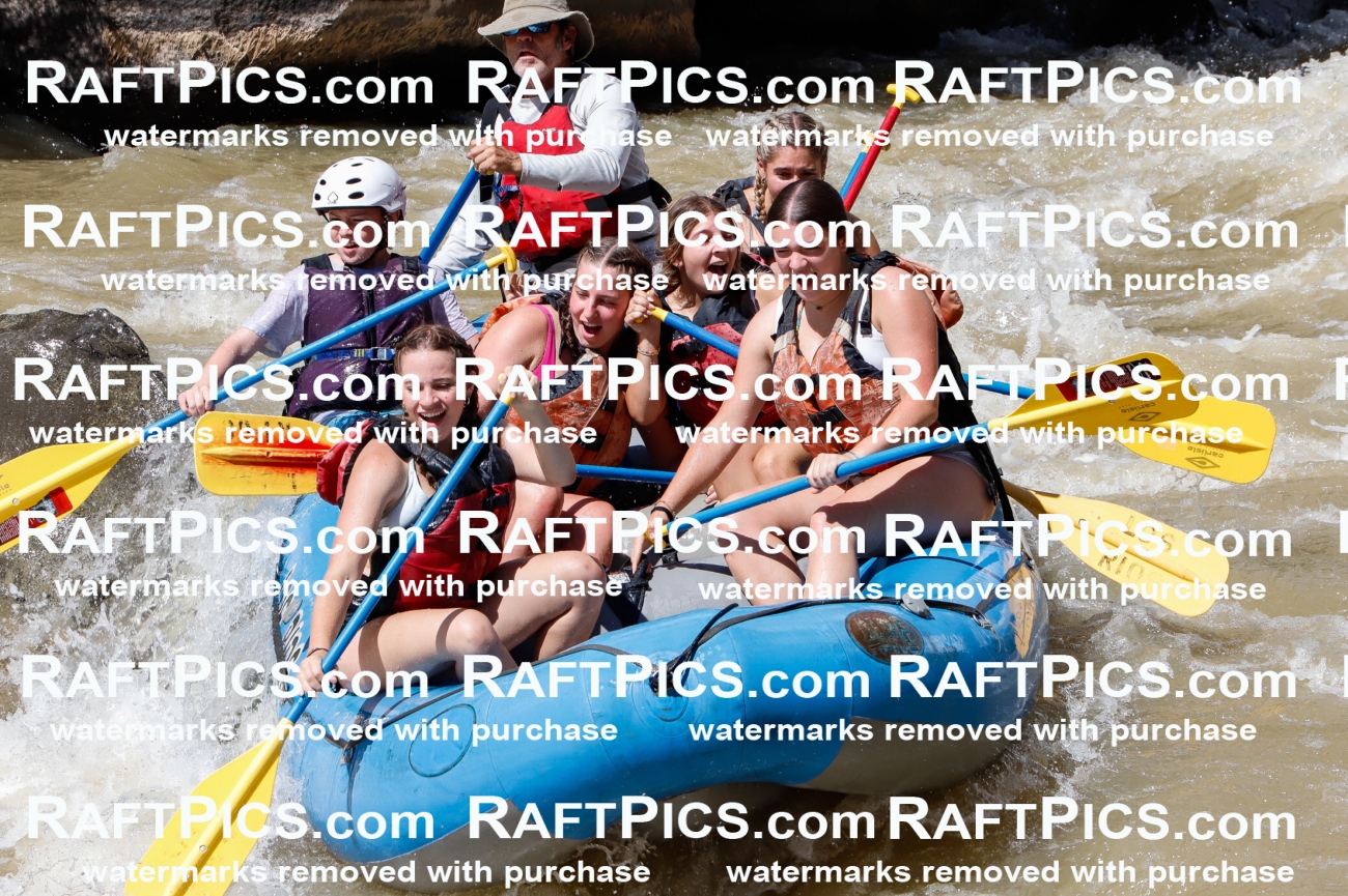 028233_RaftPics_August_16_LosRios_Racecourse_PM_Unknown_TC_