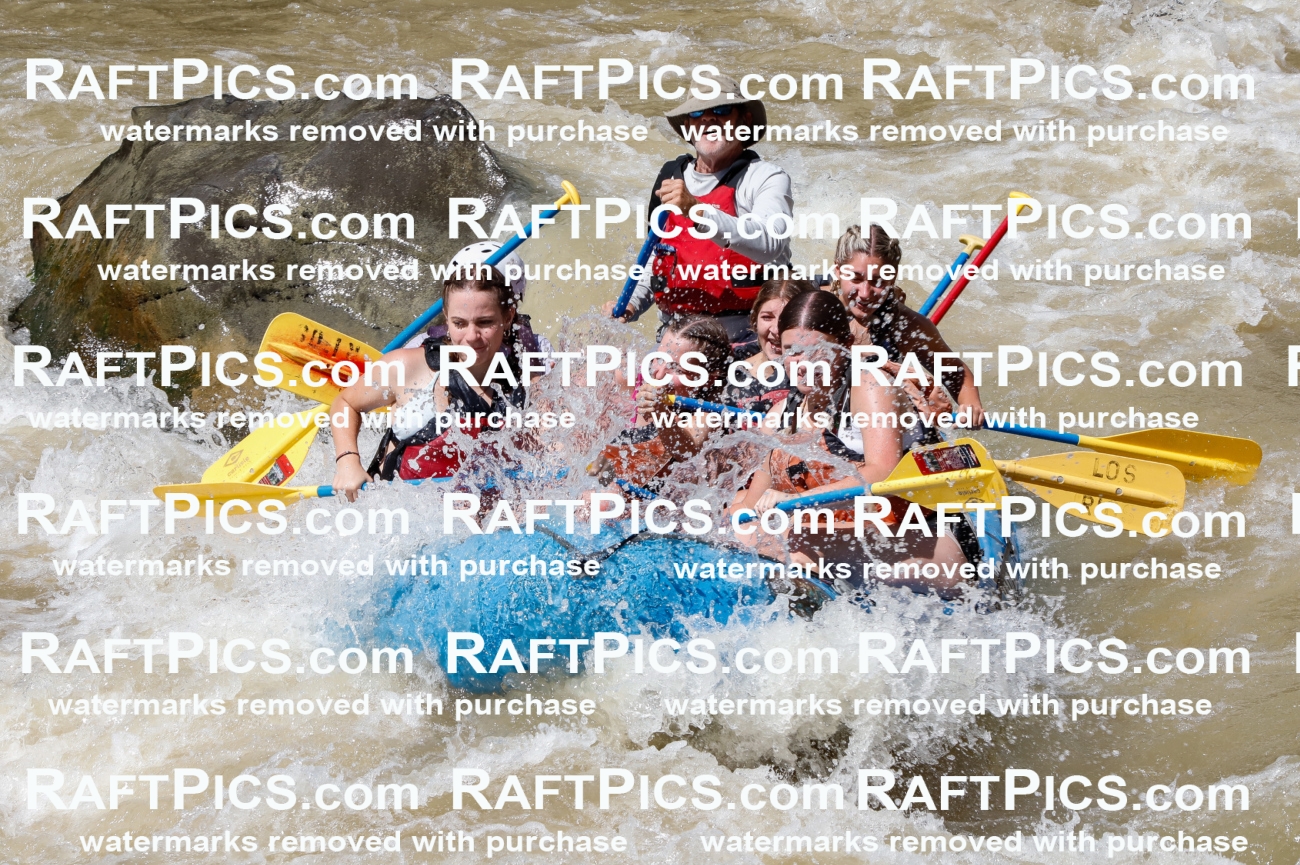 028235_RaftPics_August_16_LosRios_Racecourse_PM_Unknown_TC_