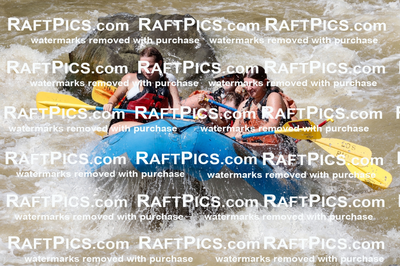 028236_RaftPics_August_16_LosRios_Racecourse_PM_Unknown_TC_