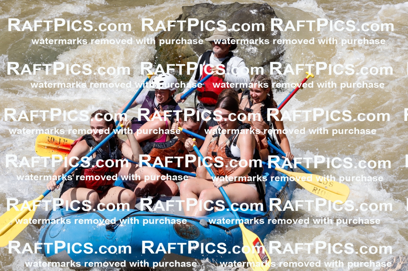 028238_RaftPics_August_16_LosRios_Racecourse_PM_Unknown_TC_