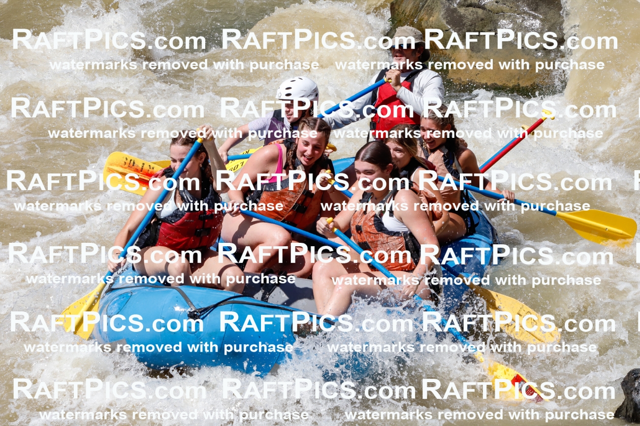 028239_RaftPics_August_16_LosRios_Racecourse_PM_Unknown_TC_