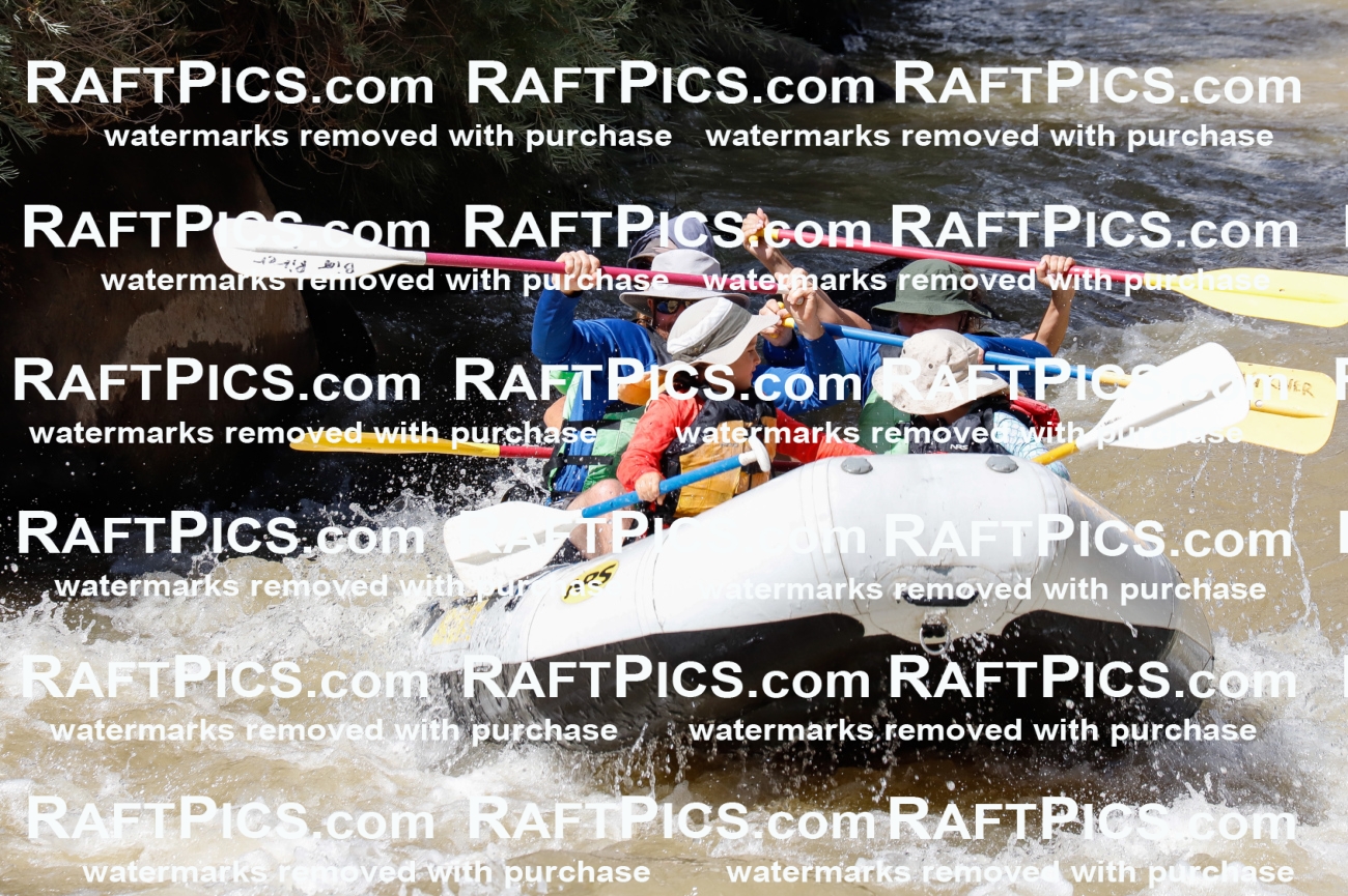 028082_RaftPics_August_16_BigRiver_Racecourse_PM_Mads_TC_