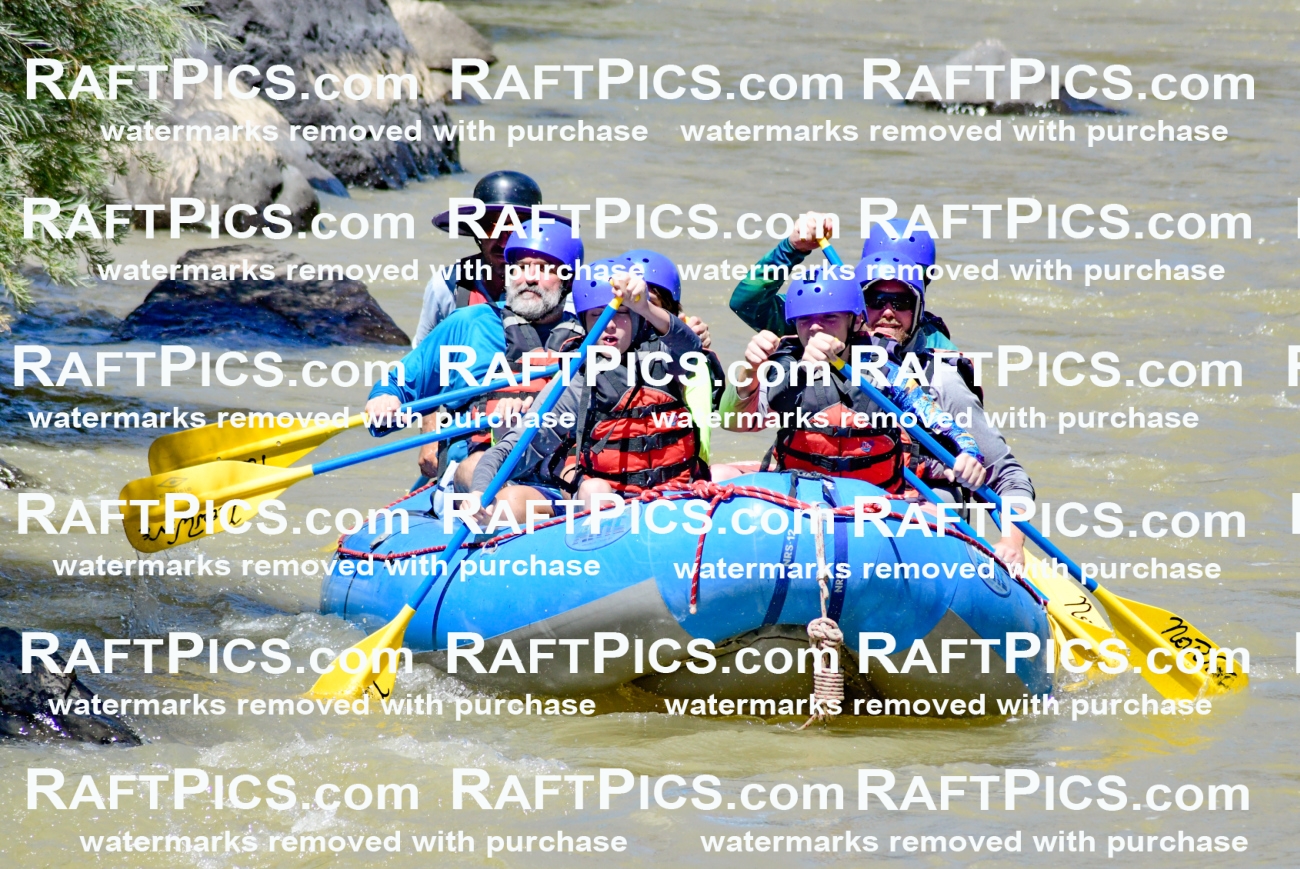 009453_Raftpics_August-17__NEW_WAVE__Racecourse_PM_KA_Elias_KLA8897