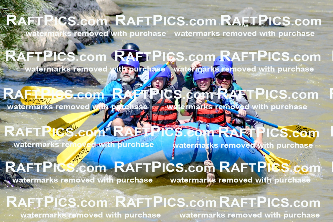 009454_Raftpics_August-17__NEW_WAVE__Racecourse_PM_KA_Elias_KLA8898