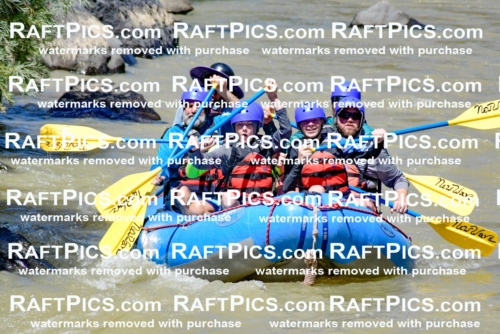 009455_Raftpics_August-17__NEW_WAVE__Racecourse_PM_KA_Elias_KLA8899