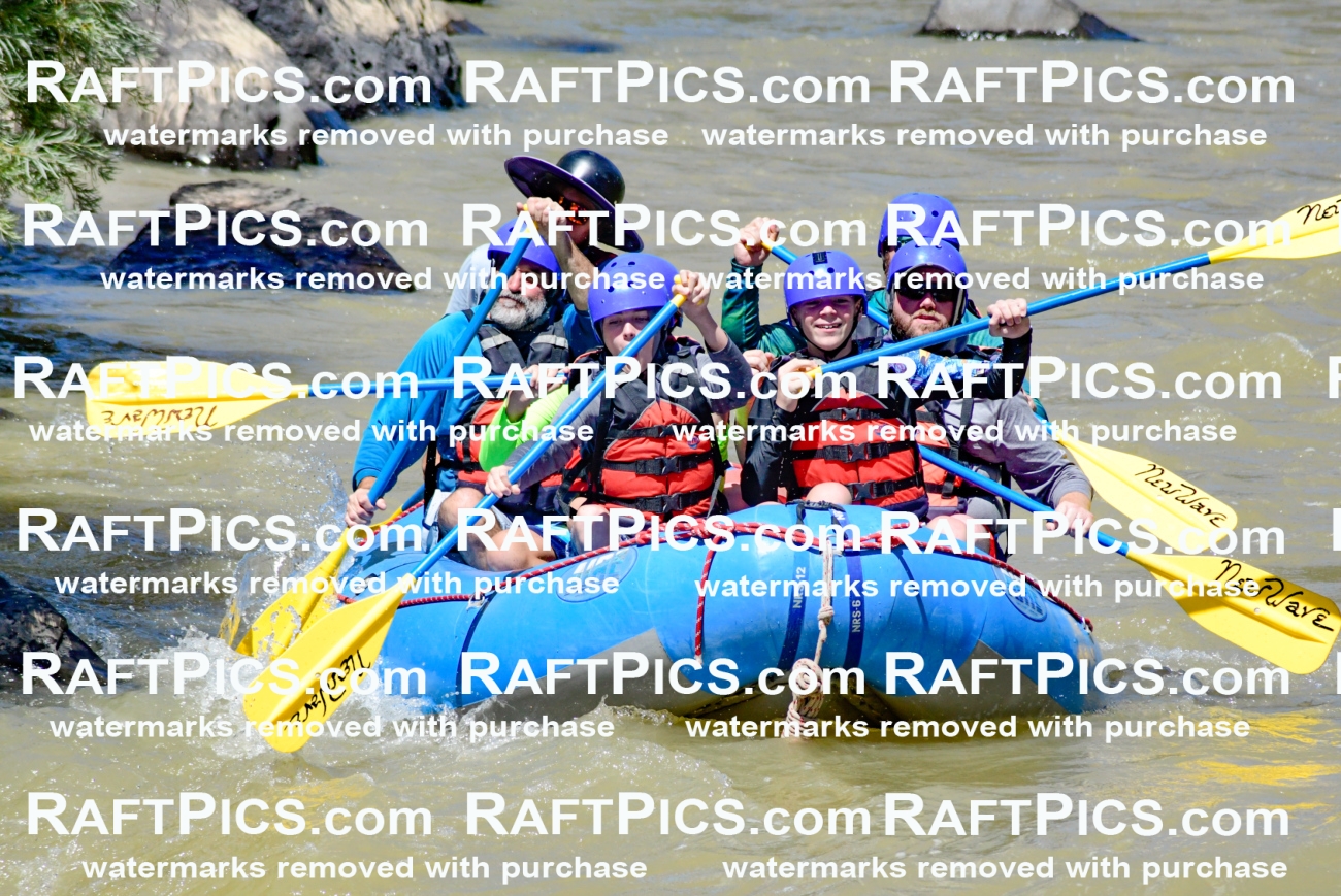 009456_Raftpics_August-17__NEW_WAVE__Racecourse_PM_KA_Elias_KLA8900