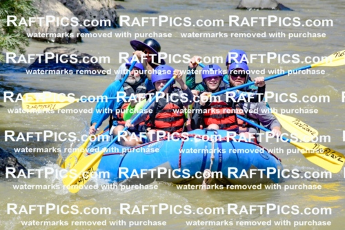 009456_Raftpics_August-17__NEW_WAVE__Racecourse_PM_KA_Elias_KLA8900