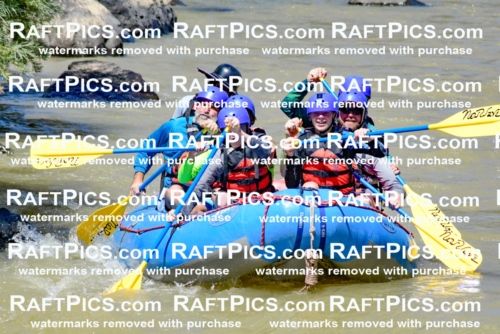 009457_Raftpics_August-17__NEW_WAVE__Racecourse_PM_KA_Elias_KLA8901