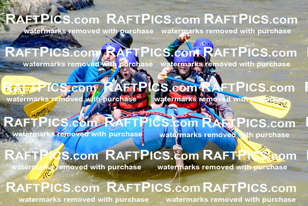 009458_Raftpics_August-17__NEW_WAVE__Racecourse_PM_KA_Elias_KLA8902