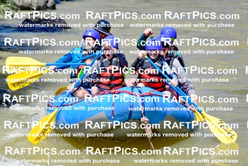 009459_Raftpics_August-17__NEW_WAVE__Racecourse_PM_KA_Elias_KLA8903