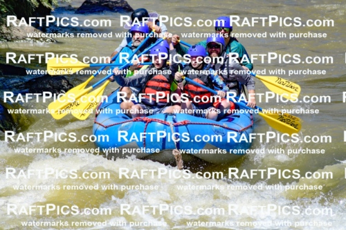 009460_Raftpics_August-17__NEW_WAVE__Racecourse_PM_KA_Elias_KLA8904