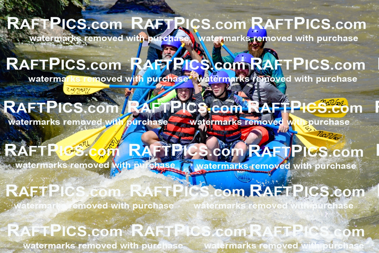 009461_Raftpics_August-17__NEW_WAVE__Racecourse_PM_KA_Elias_KLA8905