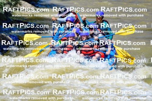 009462_Raftpics_August-17__NEW_WAVE__Racecourse_PM_KA_Elias_KLA8906