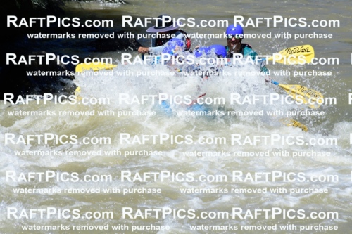 009463_Raftpics_August-17__NEW_WAVE__Racecourse_PM_KA_Elias_KLA8907