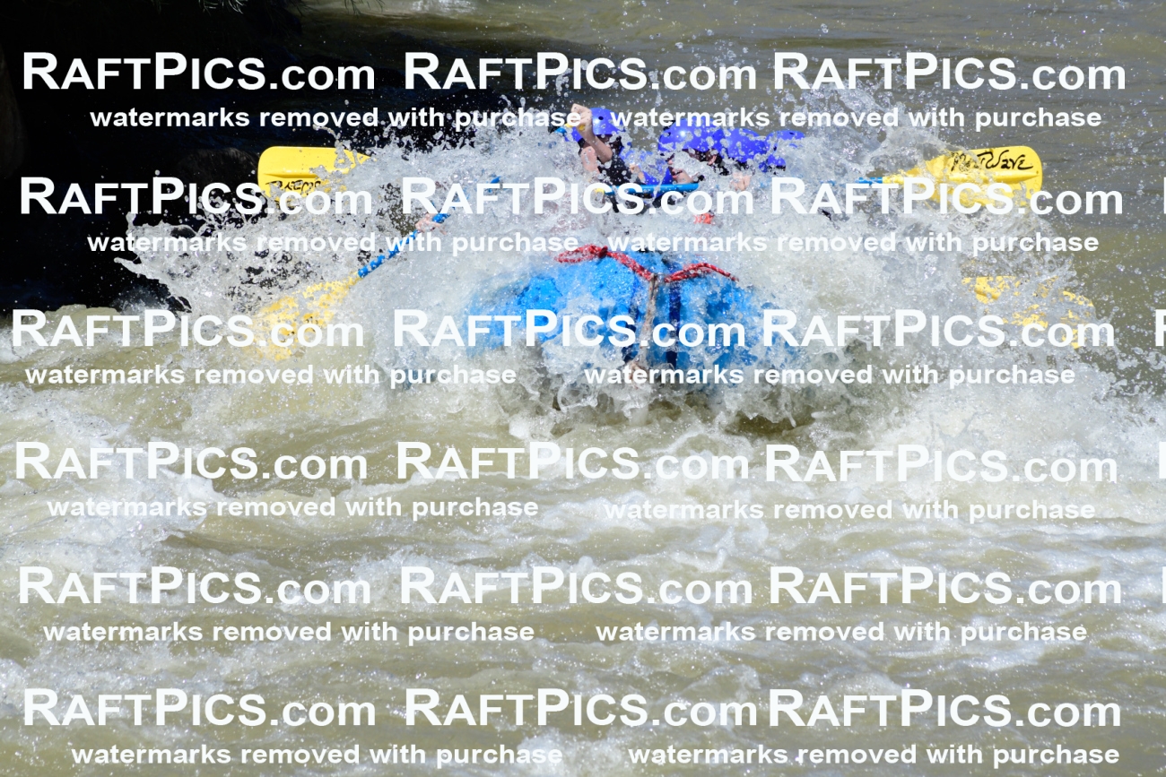 009464_Raftpics_August-17__NEW_WAVE__Racecourse_PM_KA_Elias_KLA8908