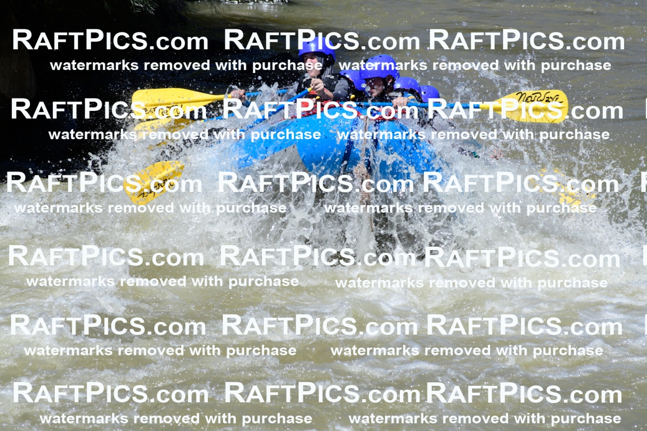 009465_Raftpics_August-17__NEW_WAVE__Racecourse_PM_KA_Elias_KLA8909