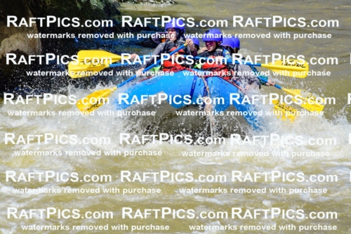 009466_Raftpics_August-17__NEW_WAVE__Racecourse_PM_KA_Elias_KLA8910