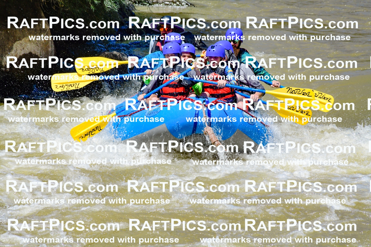 009467_Raftpics_August-17__NEW_WAVE__Racecourse_PM_KA_Elias_KLA8911