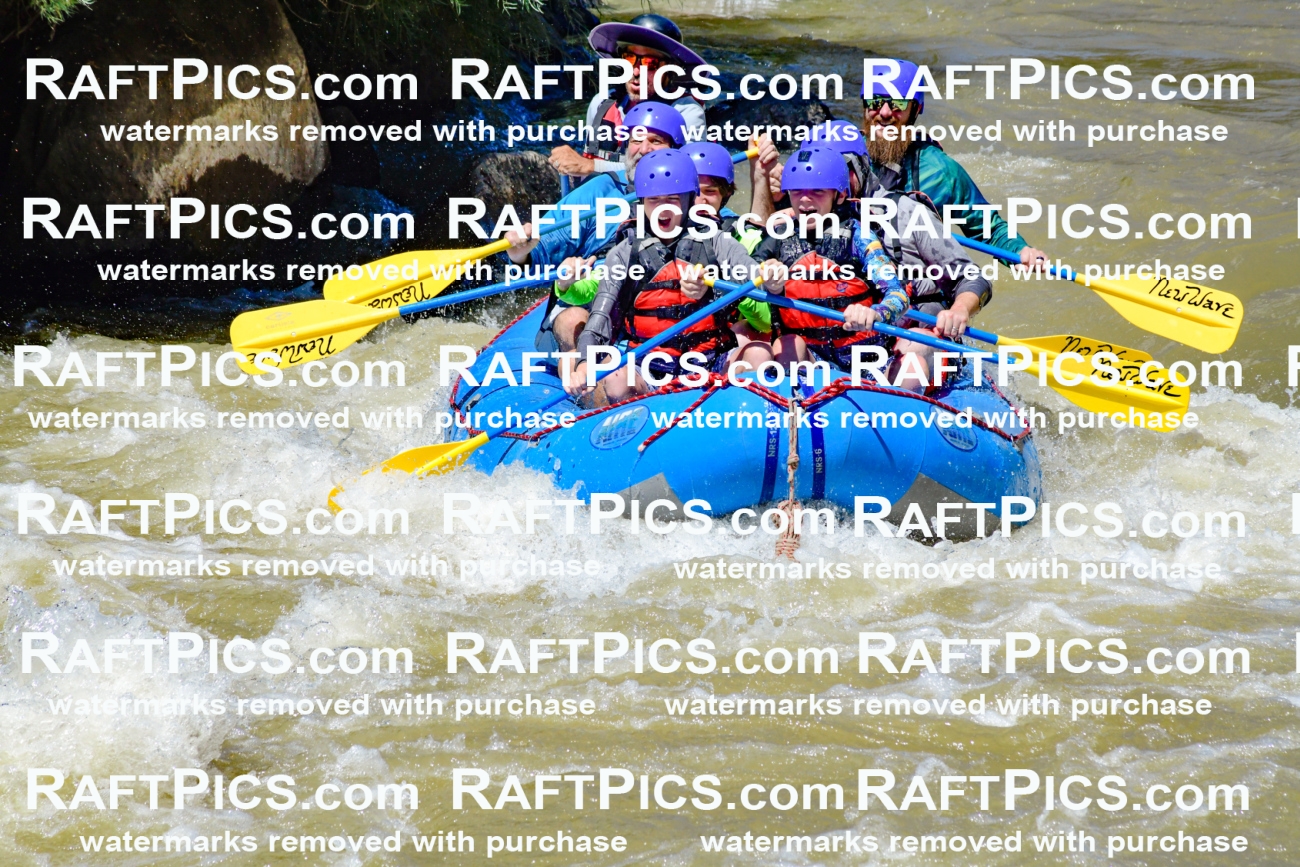 009468_Raftpics_August-17__NEW_WAVE__Racecourse_PM_KA_Elias_KLA8912