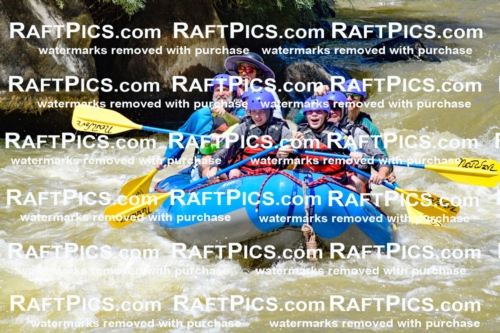 009469_Raftpics_August-17__NEW_WAVE__Racecourse_PM_KA_Elias_KLA8913