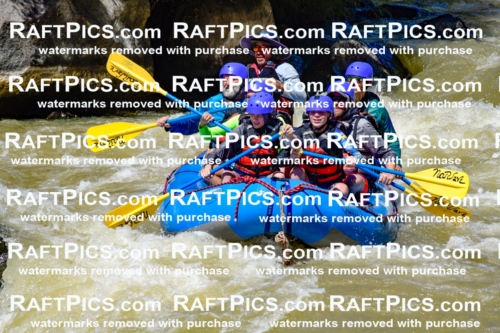 009470_Raftpics_August-17__NEW_WAVE__Racecourse_PM_KA_Elias_KLA8914