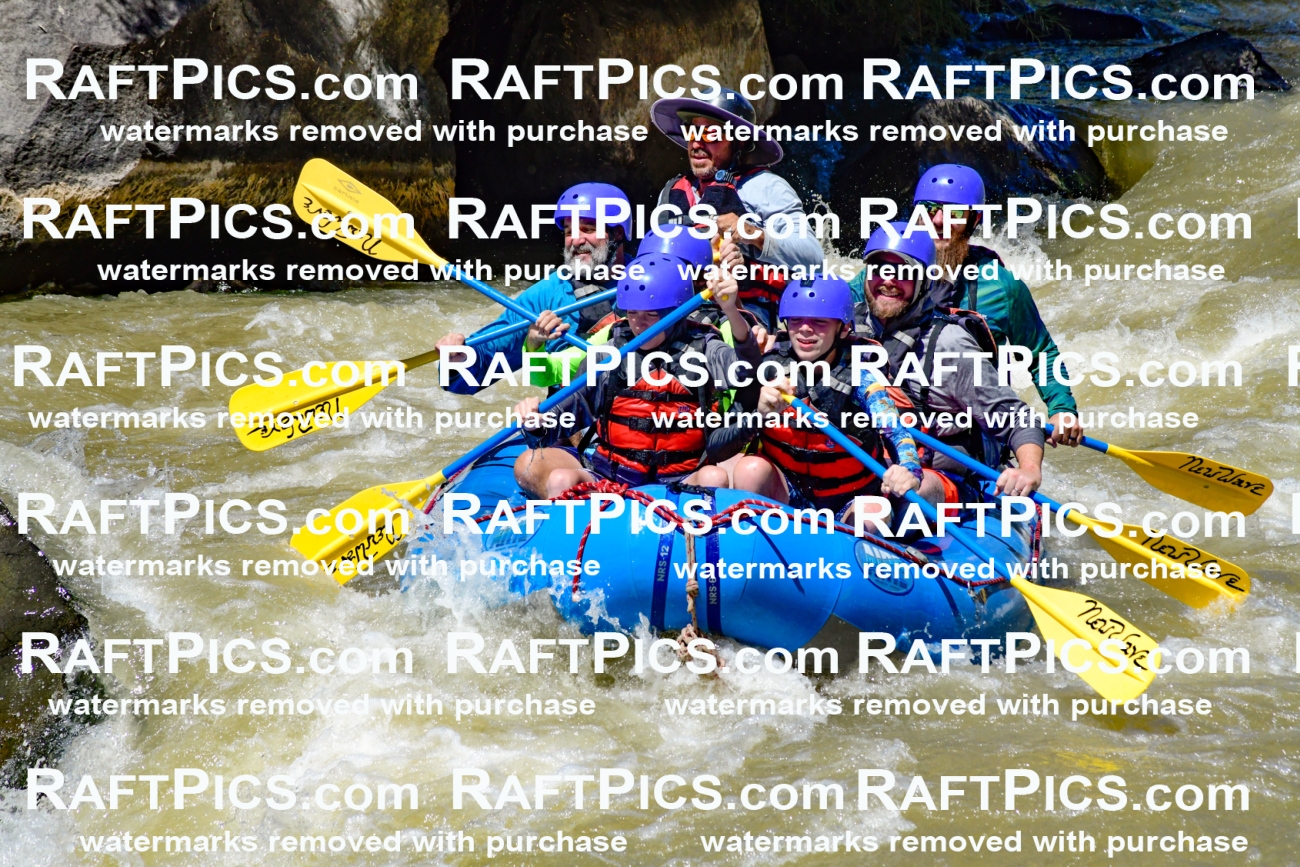 009471_Raftpics_August-17__NEW_WAVE__Racecourse_PM_KA_Elias_KLA8915