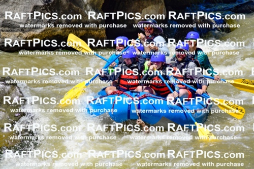 009472_Raftpics_August-17__NEW_WAVE__Racecourse_PM_KA_Elias_KLA8916