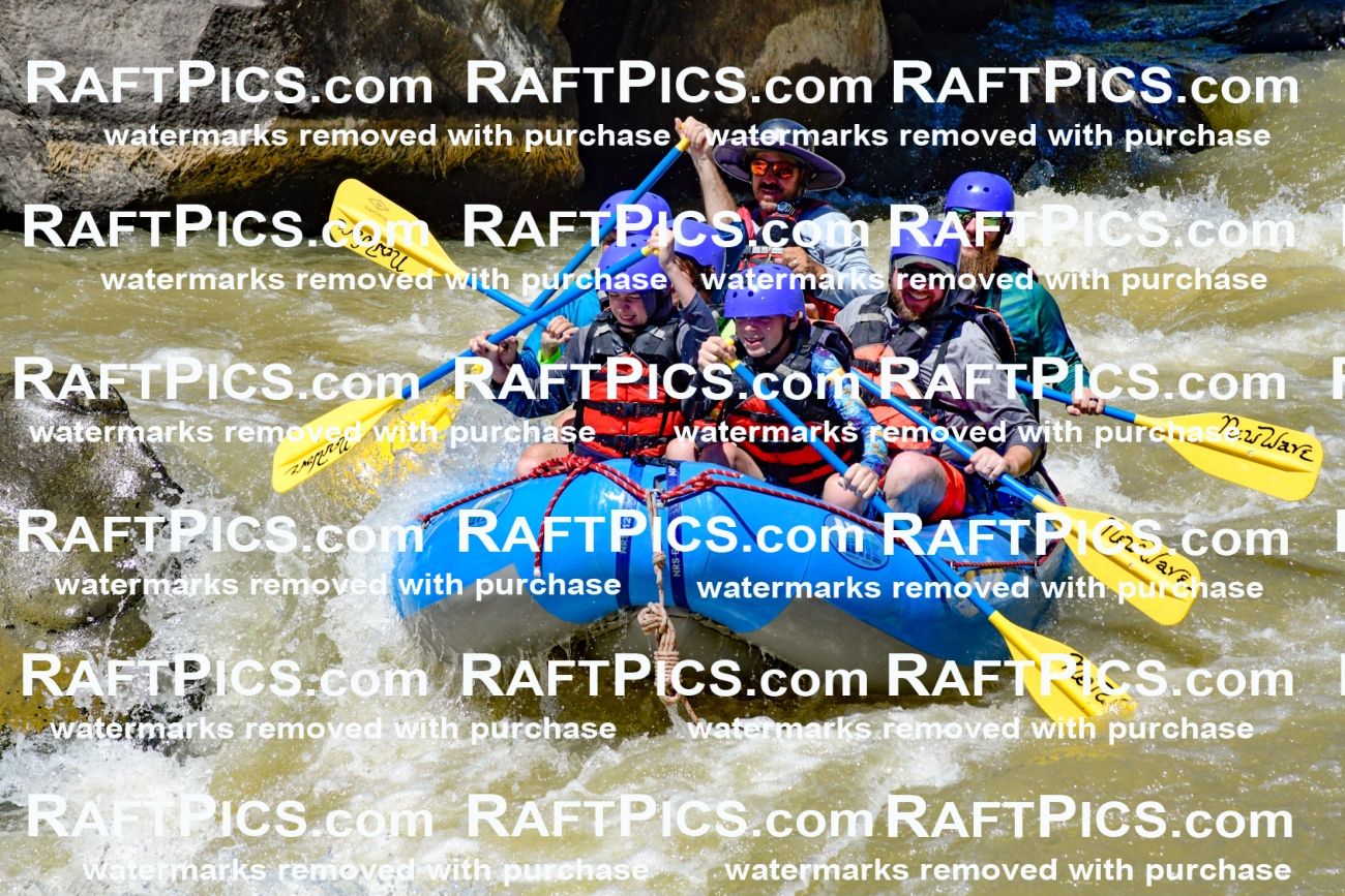 009473_Raftpics_August-17__NEW_WAVE__Racecourse_PM_KA_Elias_KLA8917