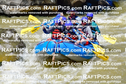 009474_Raftpics_August-17__NEW_WAVE__Racecourse_PM_KA_Elias_KLA8918