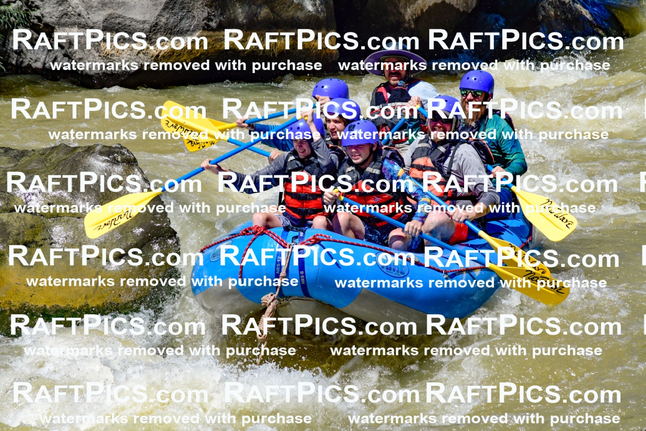 009475_Raftpics_August-17__NEW_WAVE__Racecourse_PM_KA_Elias_KLA8919