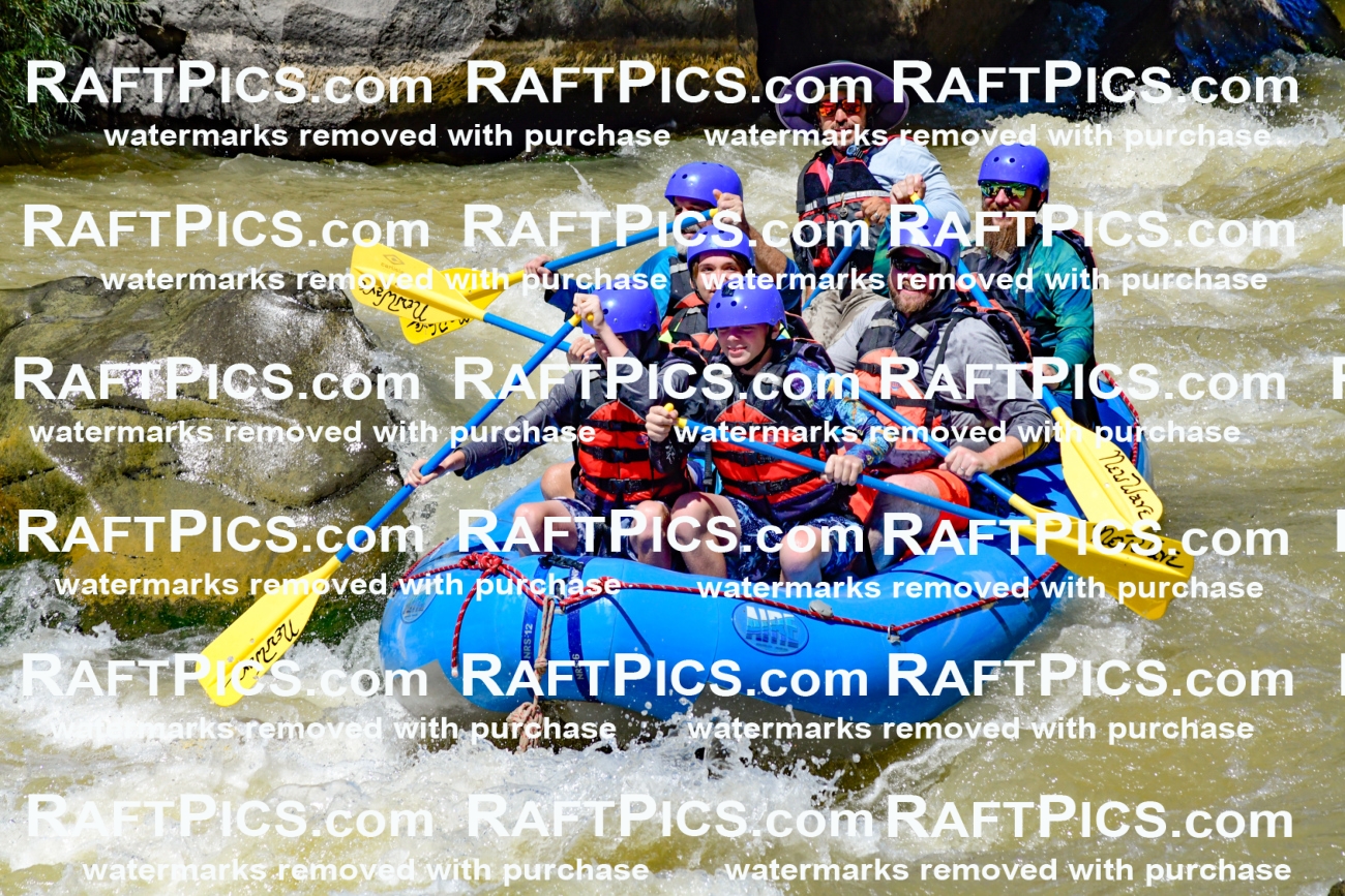 009476_Raftpics_August-17__NEW_WAVE__Racecourse_PM_KA_Elias_KLA8920