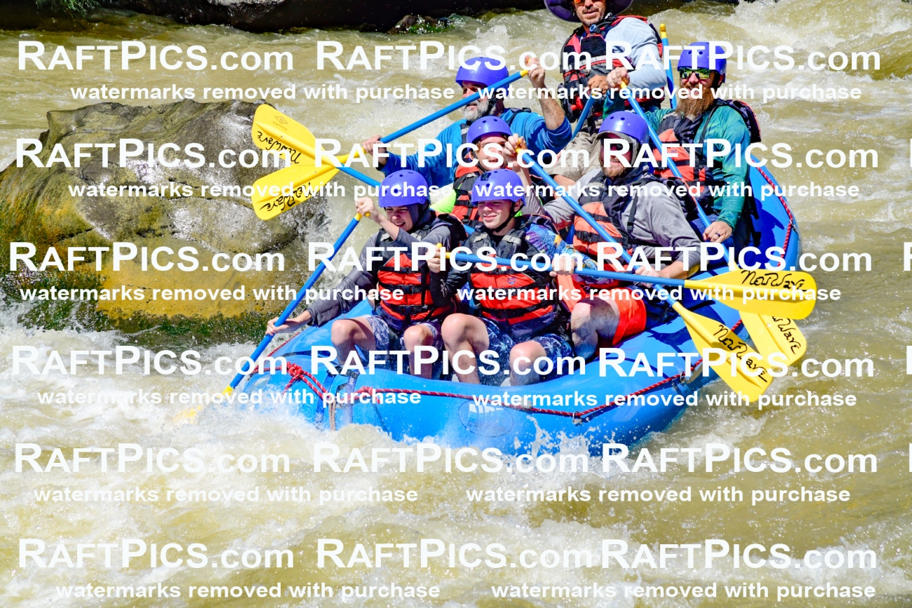 009477_Raftpics_August-17__NEW_WAVE__Racecourse_PM_KA_Elias_KLA8921