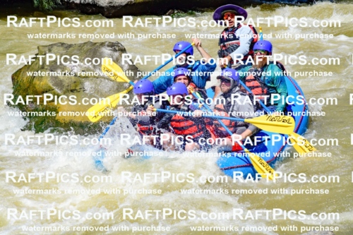 009478_Raftpics_August-17__NEW_WAVE__Racecourse_PM_KA_Elias_KLA8922