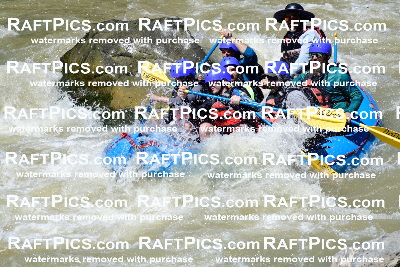 009479_Raftpics_August-17__NEW_WAVE__Racecourse_PM_KA_Elias_KLA8923