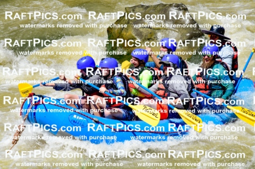 009480_Raftpics_August-17__NEW_WAVE__Racecourse_PM_KA_Elias_KLA8924