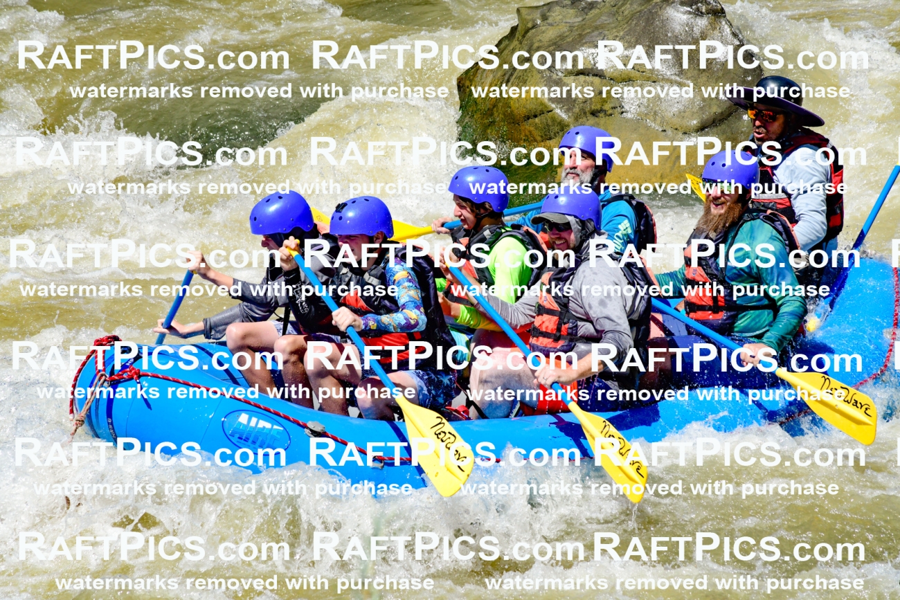 009481_Raftpics_August-17__NEW_WAVE__Racecourse_PM_KA_Elias_KLA8925