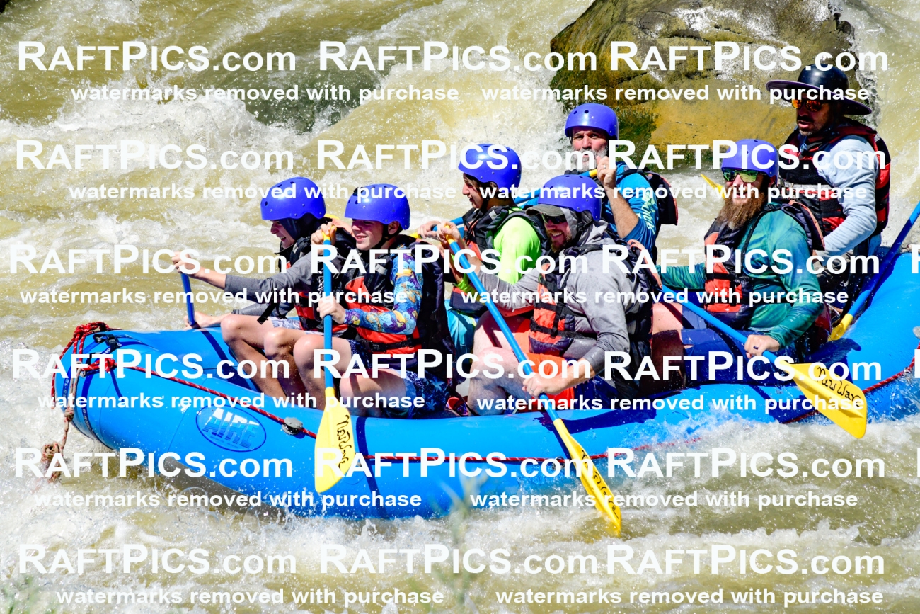 009482_Raftpics_August-17__NEW_WAVE__Racecourse_PM_KA_Elias_KLA8926