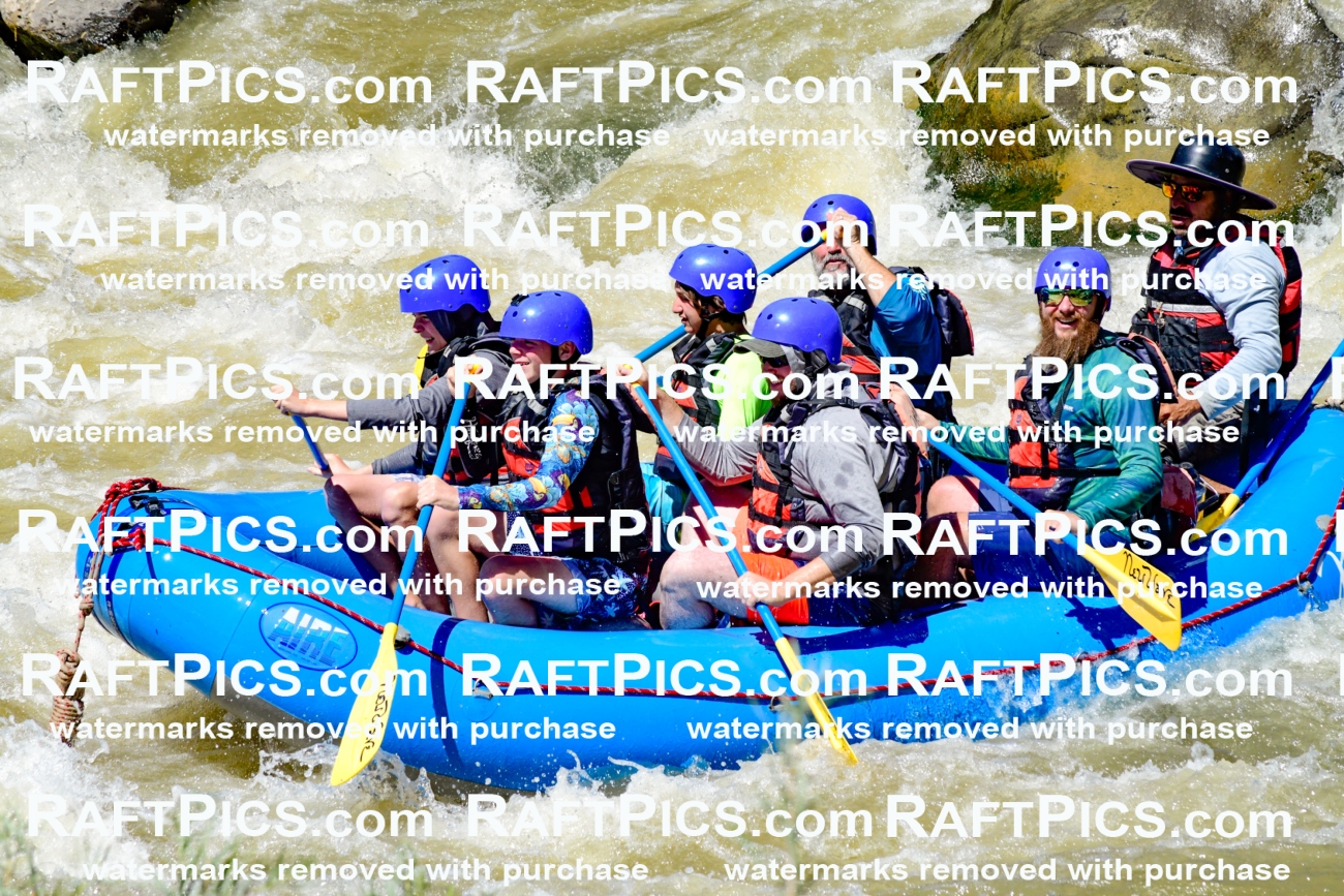 009483_Raftpics_August-17__NEW_WAVE__Racecourse_PM_KA_Elias_KLA8927