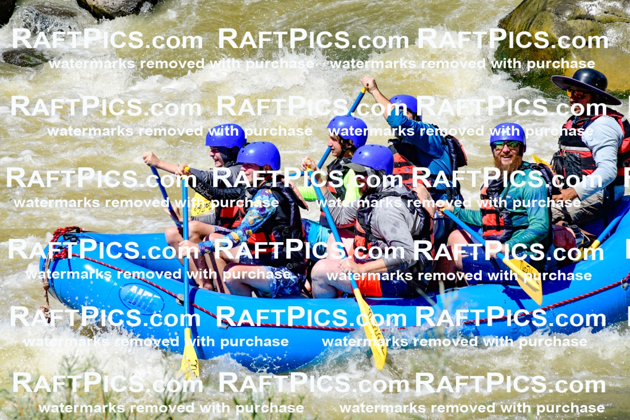 009484_Raftpics_August-17__NEW_WAVE__Racecourse_PM_KA_Elias_KLA8928