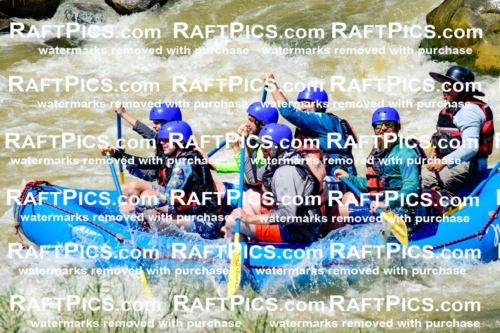 009485_Raftpics_August-17__NEW_WAVE__Racecourse_PM_KA_Elias_KLA8929