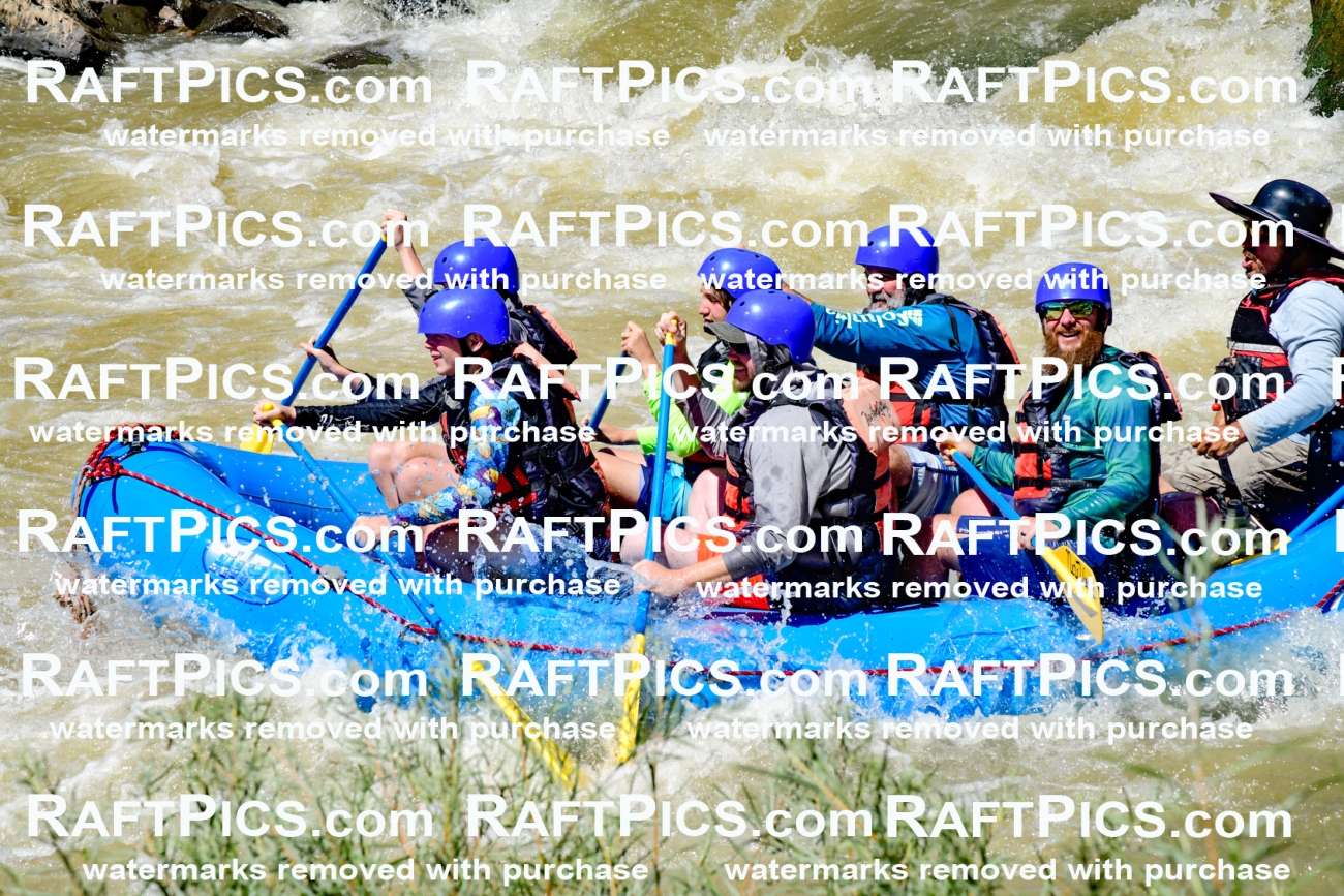 009486_Raftpics_August-17__NEW_WAVE__Racecourse_PM_KA_Elias_KLA8930