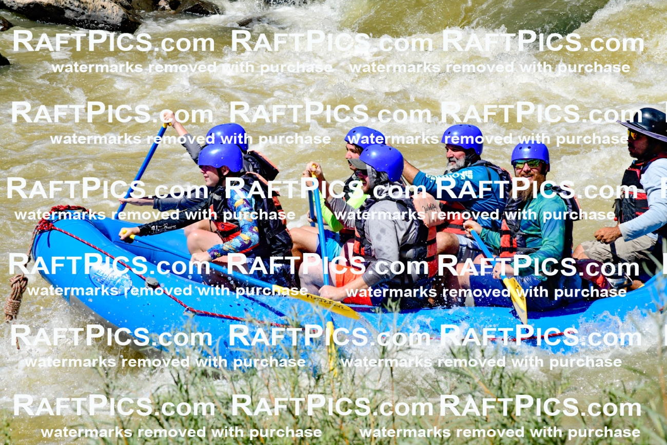 009487_Raftpics_August-17__NEW_WAVE__Racecourse_PM_KA_Elias_KLA8931