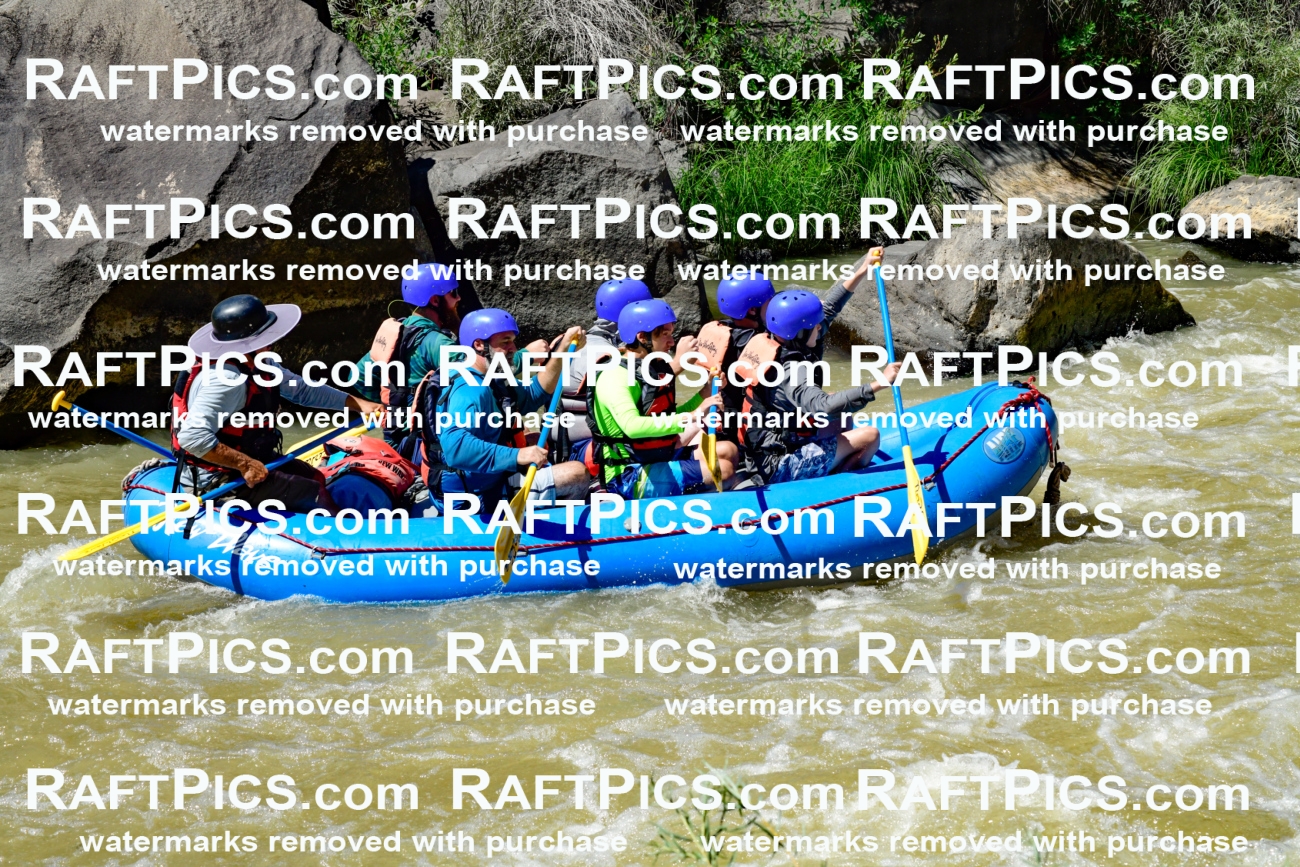 009489_Raftpics_August-17__NEW_WAVE__Racecourse_PM_KA_Elias_KLA8933