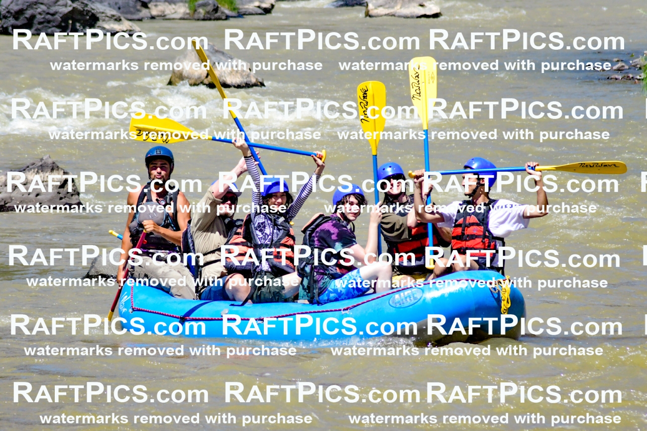 009497_Raftpics_August-17__NEW_WAVE__Racecourse_PM_KA_Rui_KLA8934