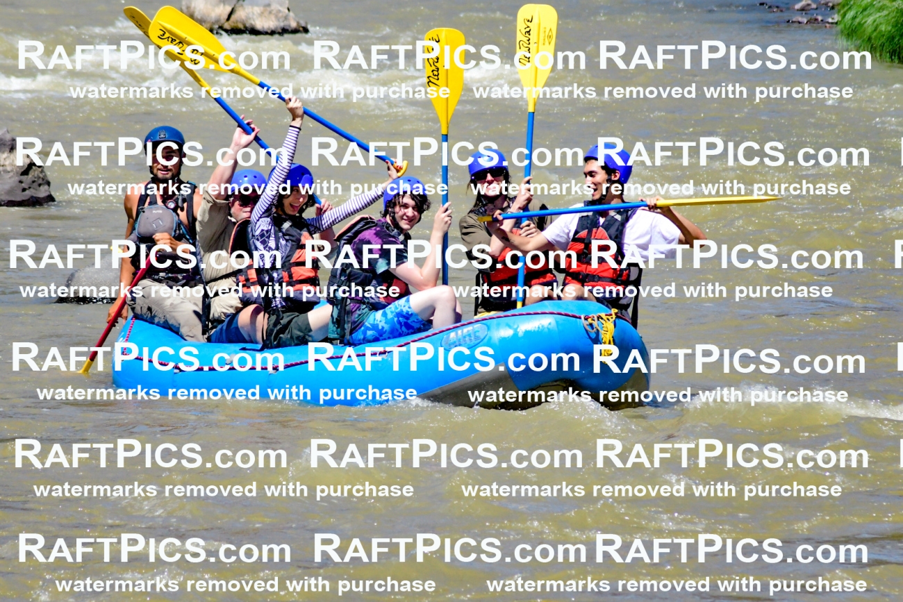 009498_Raftpics_August-17__NEW_WAVE__Racecourse_PM_KA_Rui_KLA8935